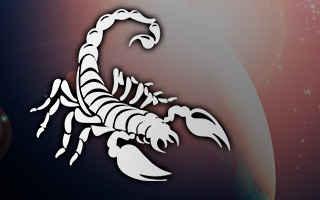 Тайна знака зодиака скорпион Магические способности Скорпиона